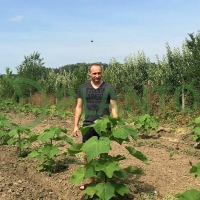 14745276432667_201508_ElemirSadnja052015 (13).JPG